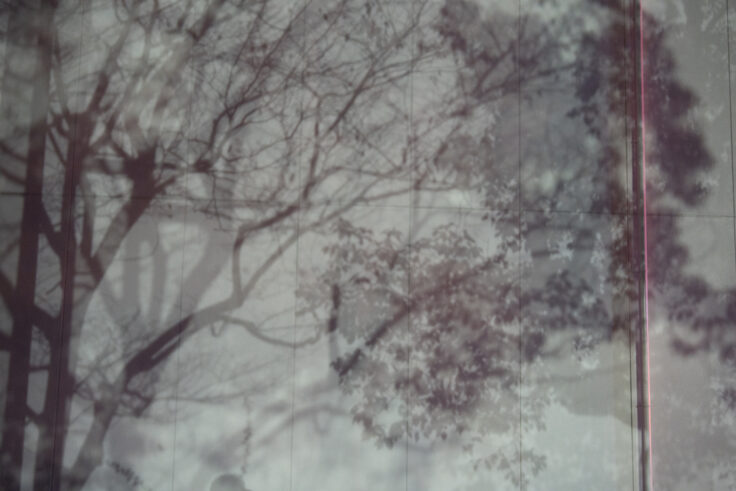 画像 夜色高松101010