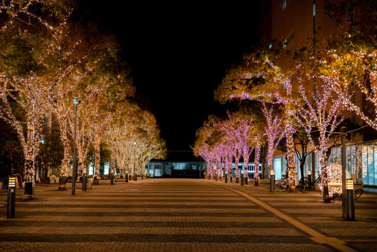 画像 高松夜景12