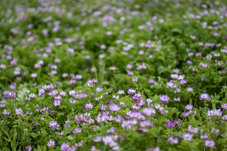 画像 夜色高松Vol.18①