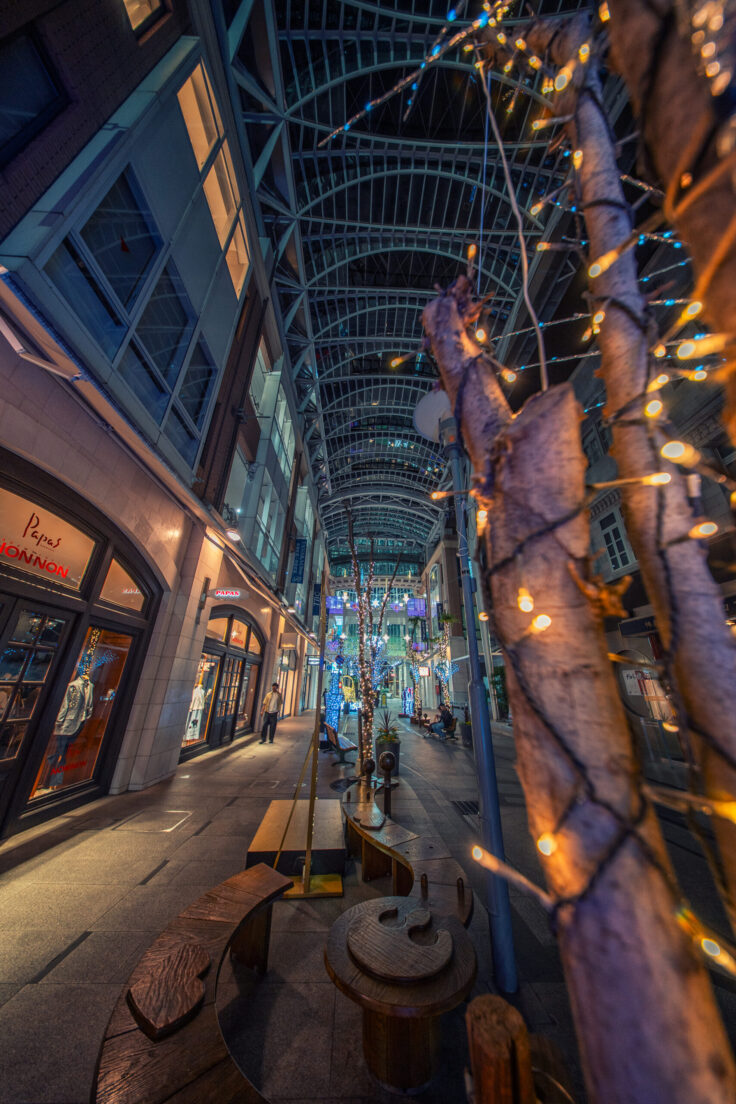 画像 夜色高松2