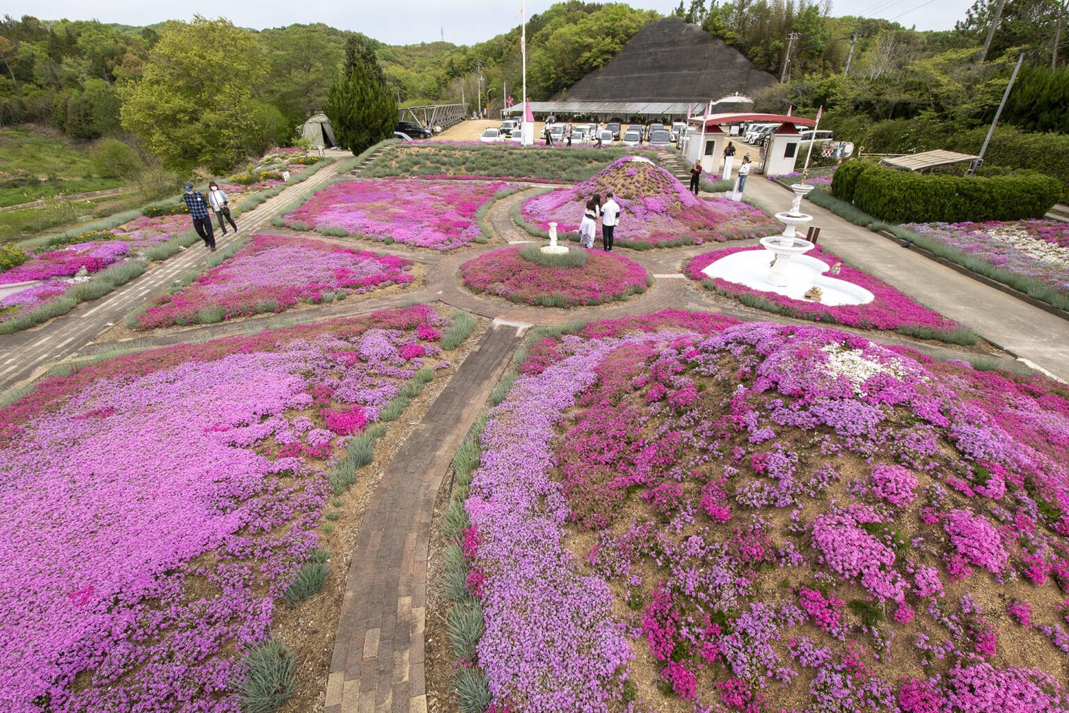 高松市西植田町「カフェ ジャルダン」の芝桜2026 | 旅カメラ