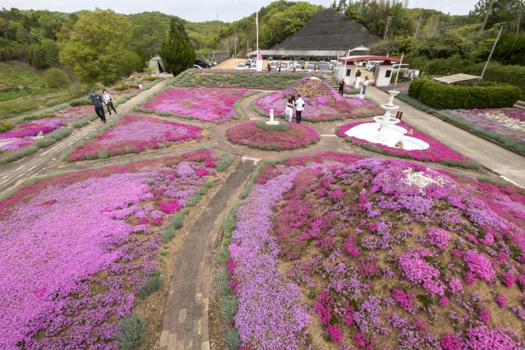 高松市西植田町「カフェ ジャルダン」の芝桜2026 | 旅カメラ