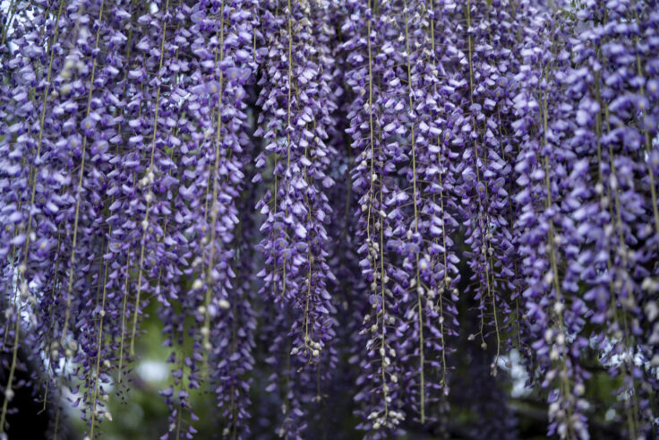 画像 夜色高松22①