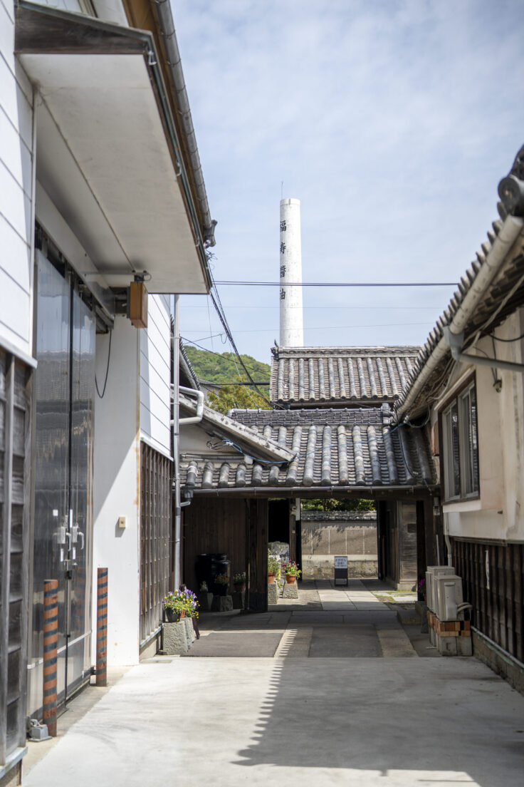 画像 鳴門市の鳴門鯛7