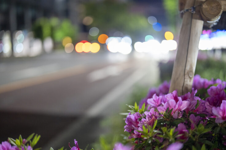 画像 夜色高松22⑥