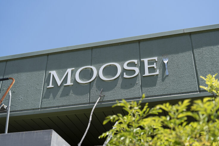 画像 MOOSE