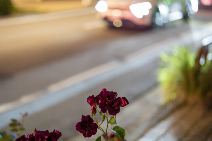 画像 夜撮2