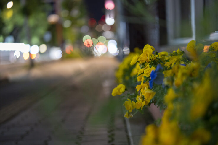 画像 夜撮3