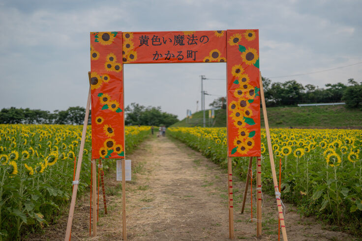 画像 中山ひまわり団地