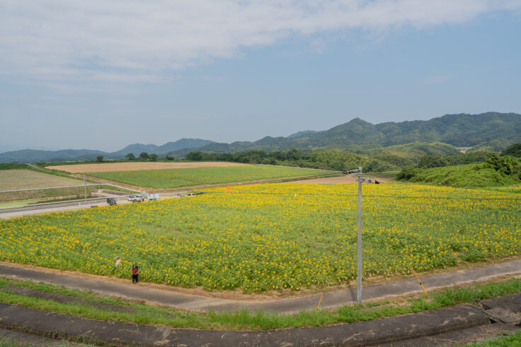 画像 中山ひまわり団地8