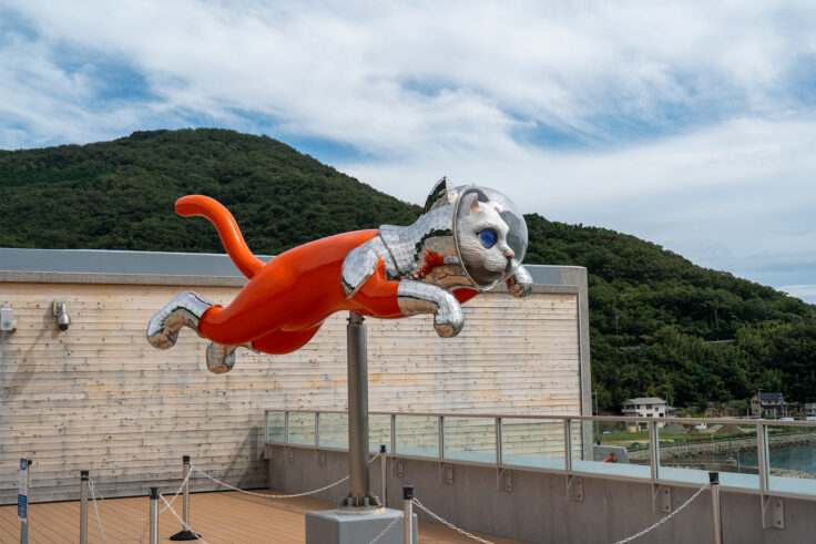 画像 坂手港の猫