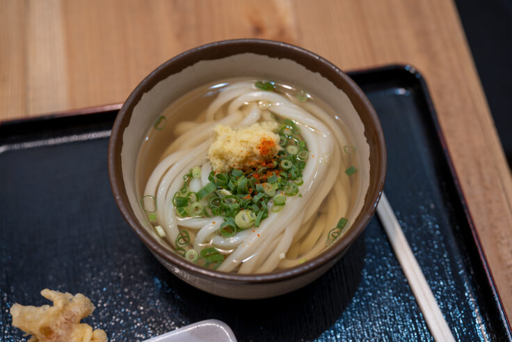 画像 たぬ吉製麺のかけうどん