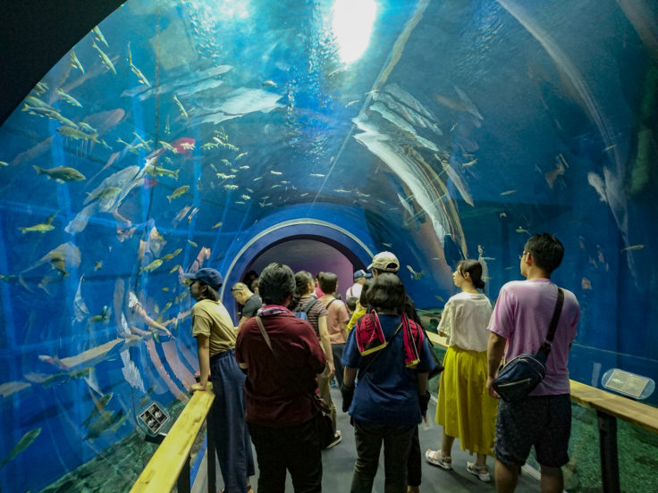 琵琶湖博物館トンネル