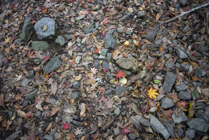 箸蔵寺の登山道の石