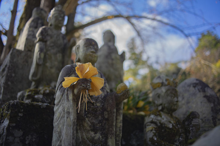 大窪寺のイチョウを持った地蔵