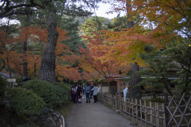 日暮亭前の紅葉