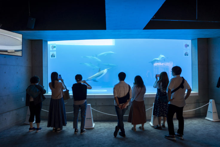 四国水族館海豚ホール
