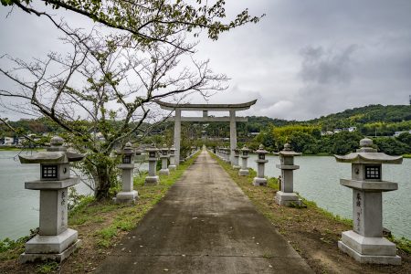 竜桜公園から見た川東八幡神社