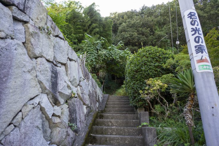 紫雲山登山道