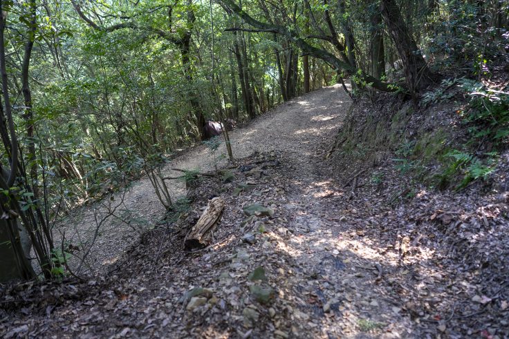 紫雲山登山道5