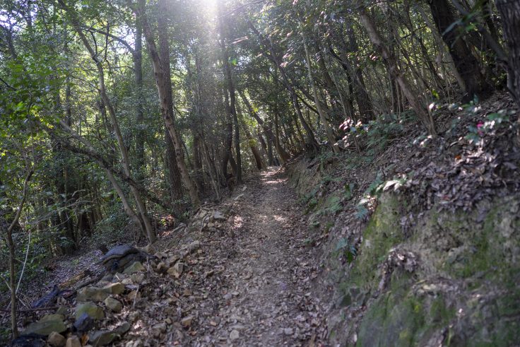 紫雲山登山道6