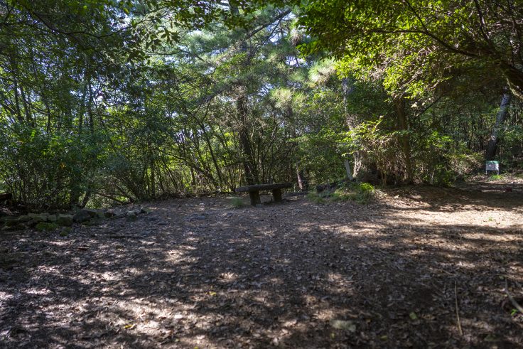 紫雲山登山道9