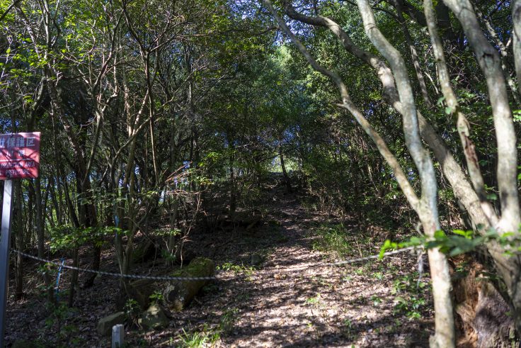 紫雲山登山道10