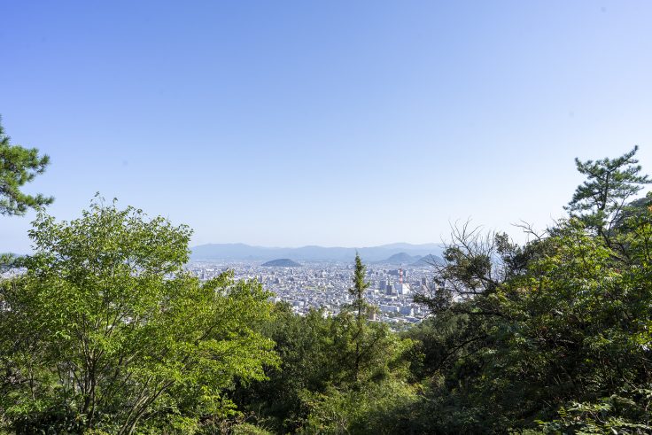 紫雲山登山道11