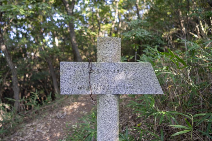 紫雲山登山道13