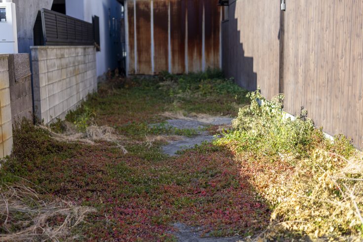 扇町のスナップ写真