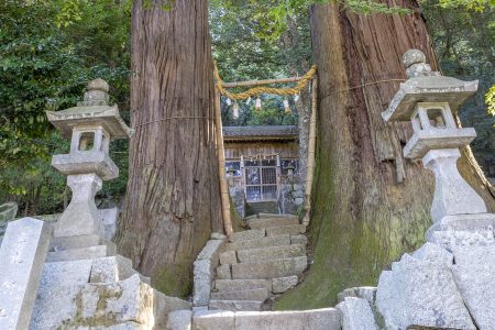 津柳熊野神社の二本杉2
