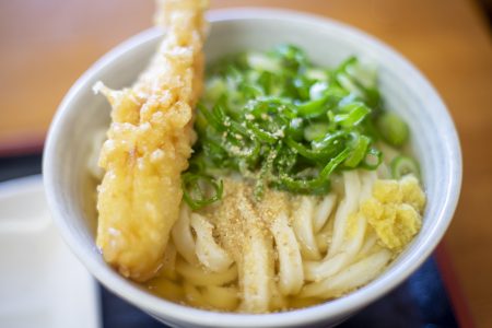 純手打ちうどんよしやのかけうどん