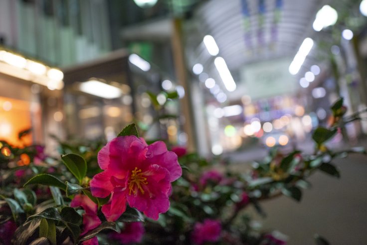 高松夜景スナップ3