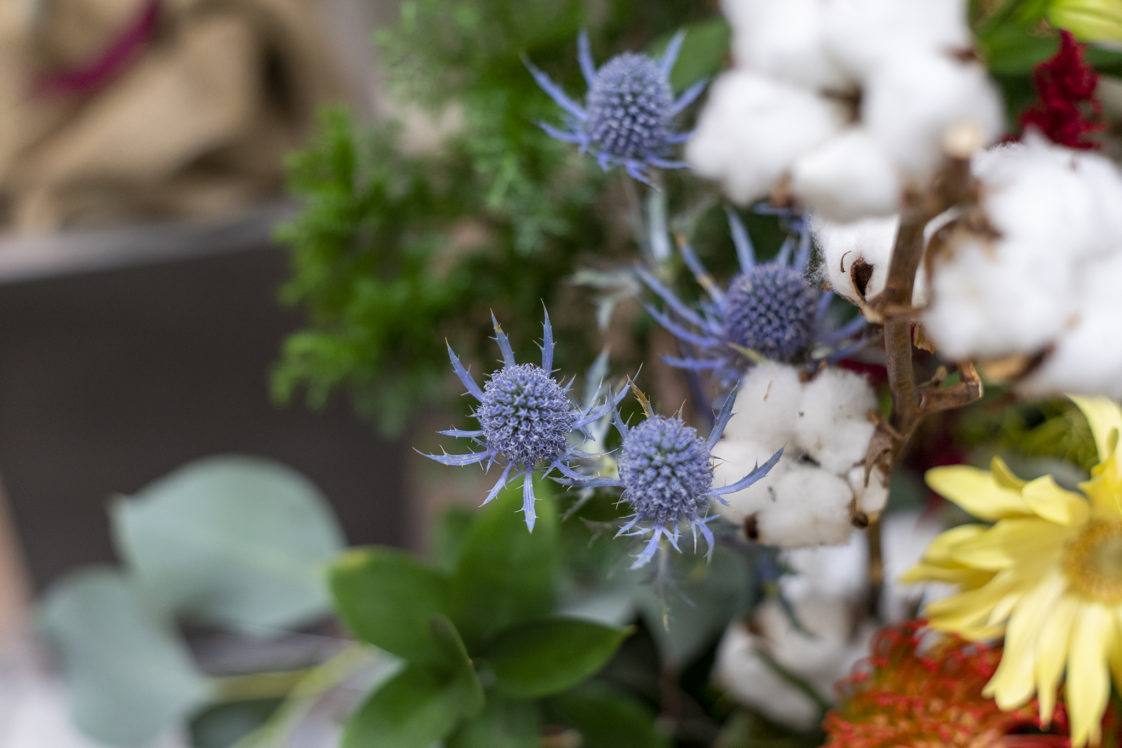 エリンジウムの花言葉と誕生花 旅カメラ