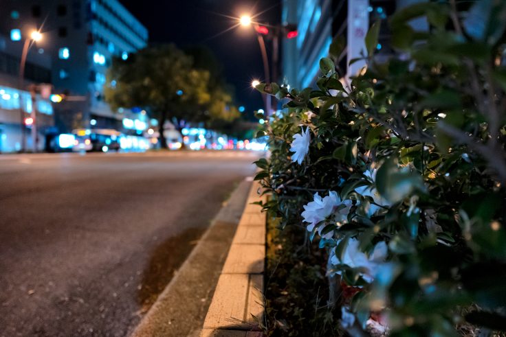 高松市夜景スナップ