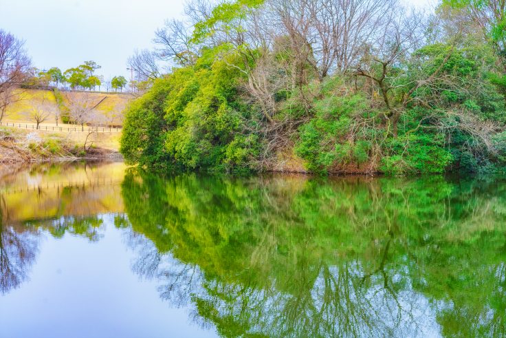 香川県園芸総合センター