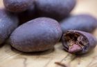 アフリカンスクエア「ショコラマダガスカル・カカオ豆ダーク100%コート」を割る