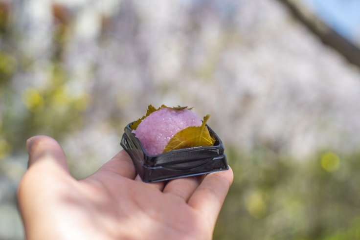 花見山の桜餅