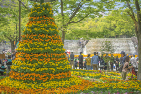 高松フラワーフェスティバルの花2