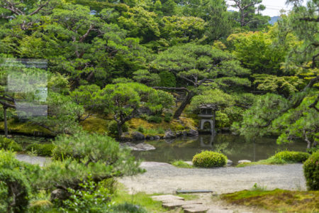 白河院庭園8