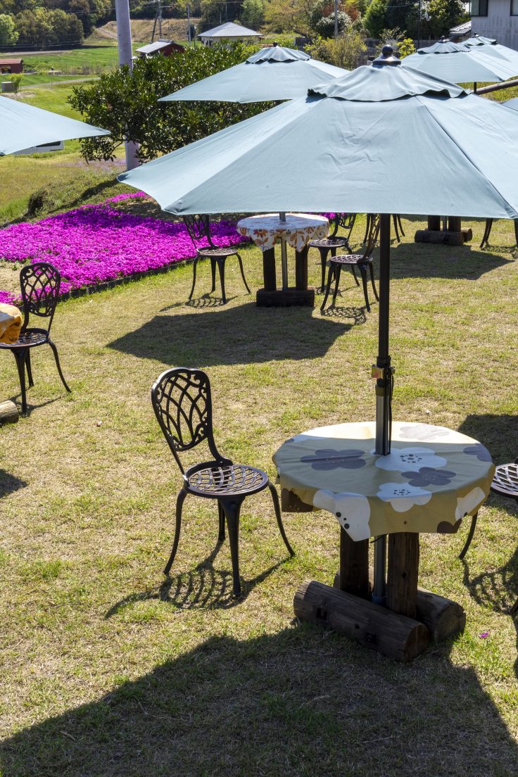 芝桜富士の飲食スペース