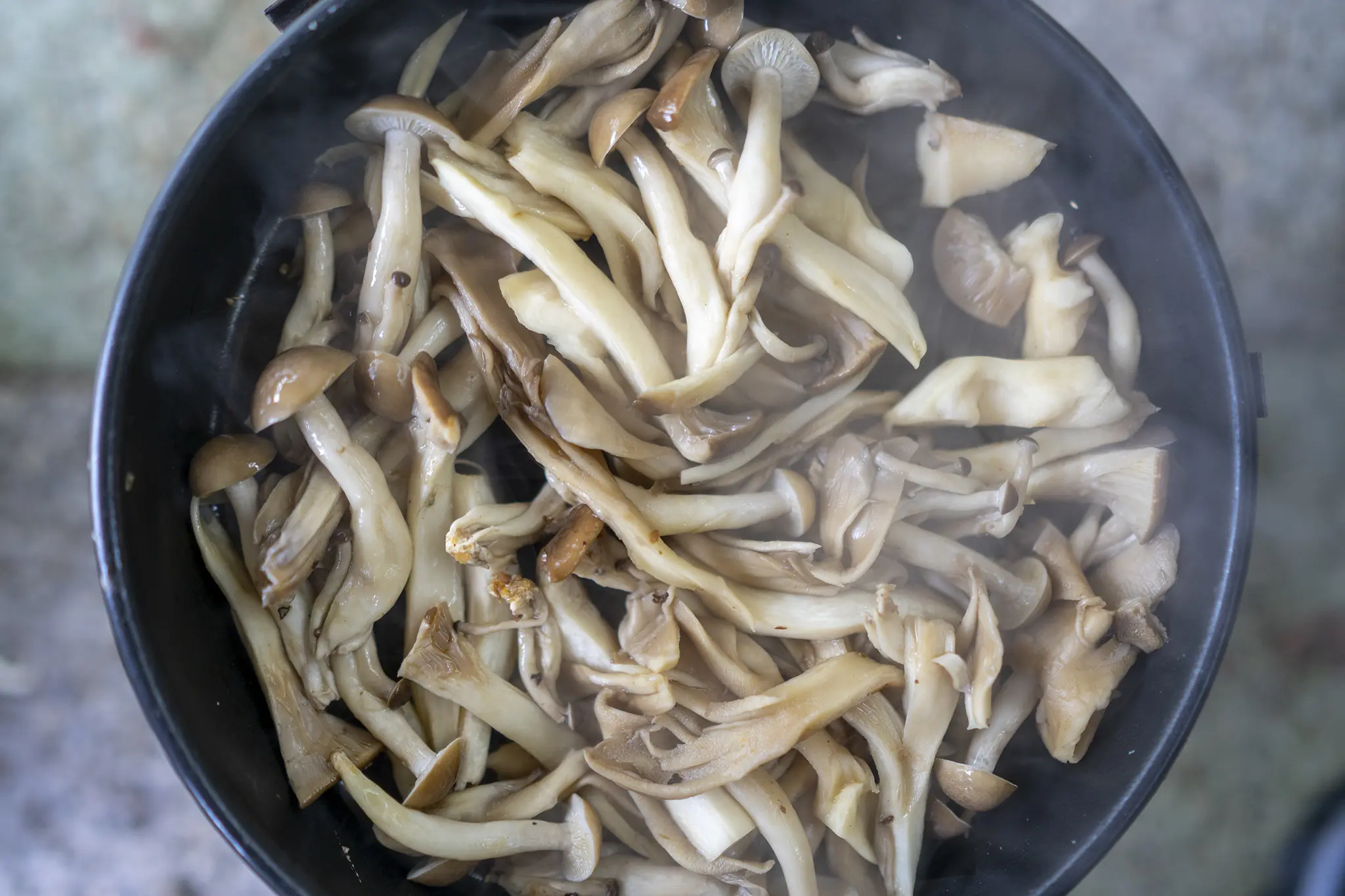 アウトドアでキノコを炒めて食べたら無限ループ 旅カメラ アウトドアでキノコを炒めて食べたら無限ループ 旅カメラ