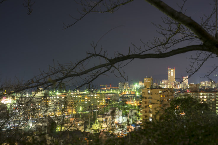 喜代美山荘花樹海から見た高松シンボルタワー