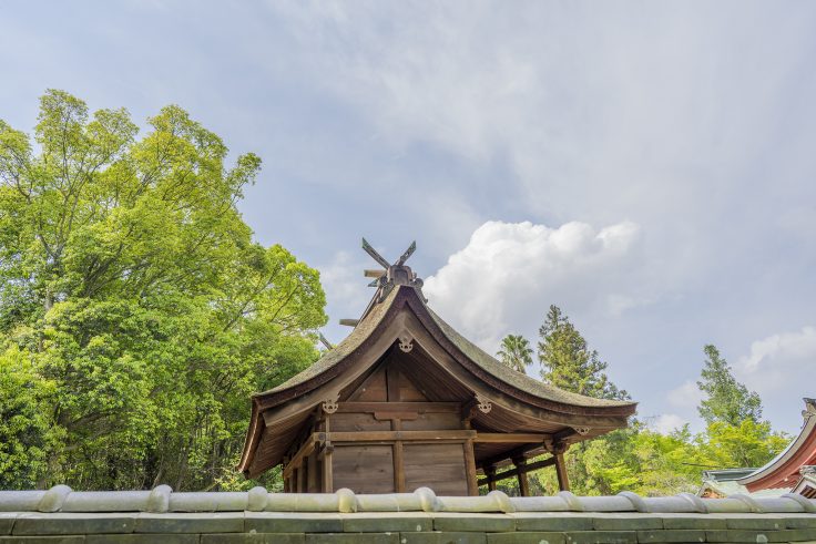 神谷神社の檜皮葺