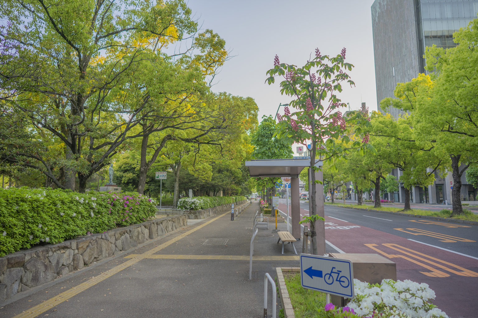 高松市中央公園のベニバナトチノキにふと思う。 旅カメラ
