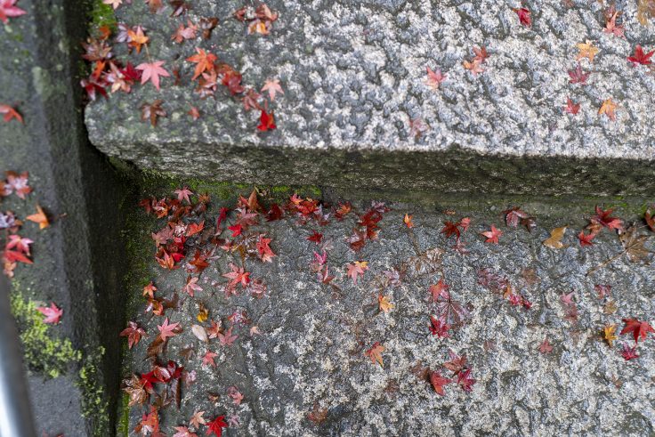 大窪寺の紅葉2