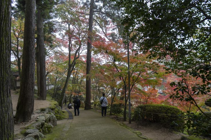 大窪寺の紅葉3