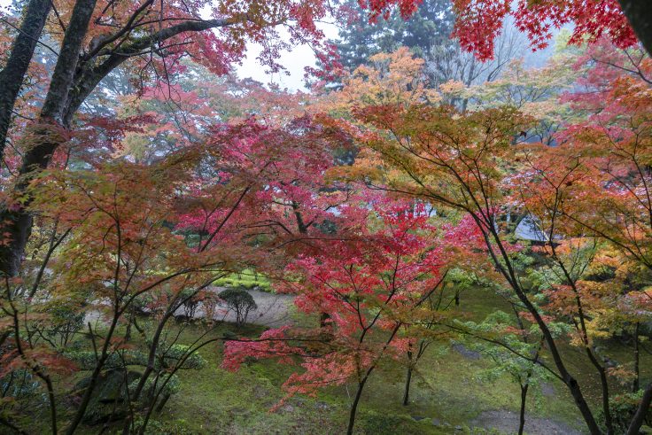 大窪寺の紅葉4