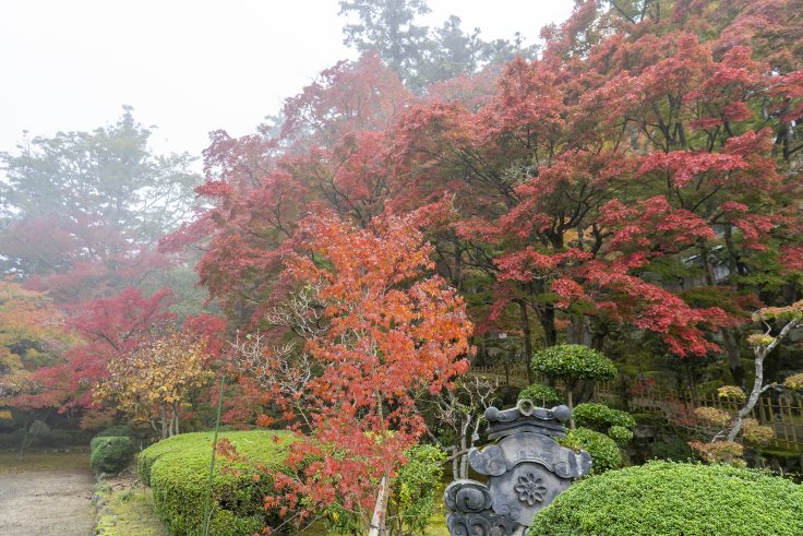 大窪寺の紅葉6