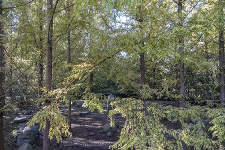 Monsty エレアコ ステージ映えするグリーンのトップ！ 2024-04-hd-yozakura-summer-1-